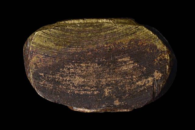 หลวงพ่อโสธรกริ่งเล็ก  พิมพ์ต้อมีกำไลหลังหนังสือจม  ปี2508