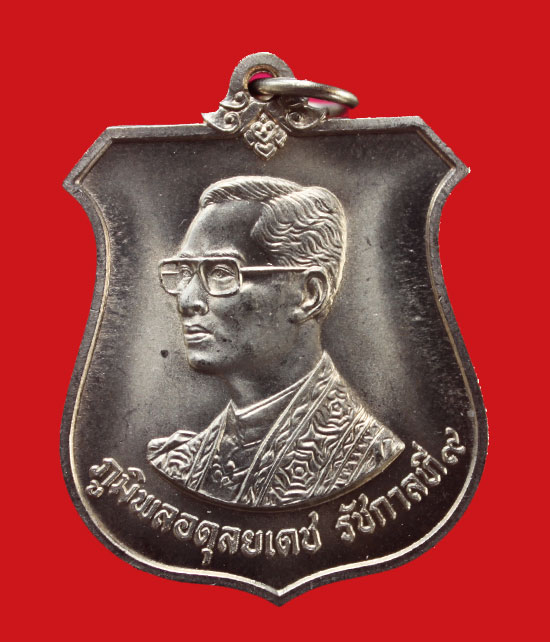 ในหลวง อัลปาก้า เคาะเดียว