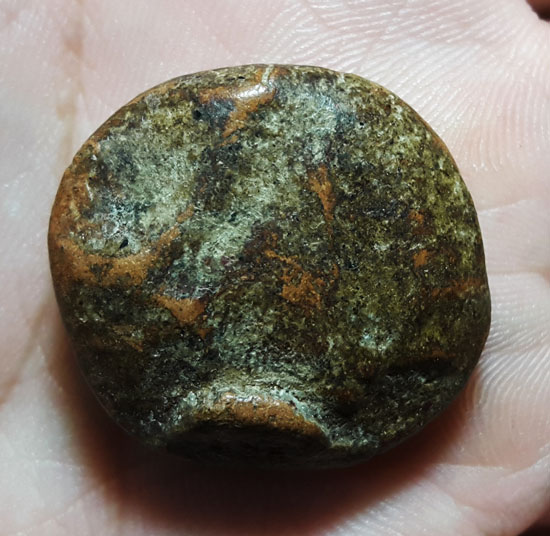 พระซุ้มกอ กรุวัดคู้ยาง