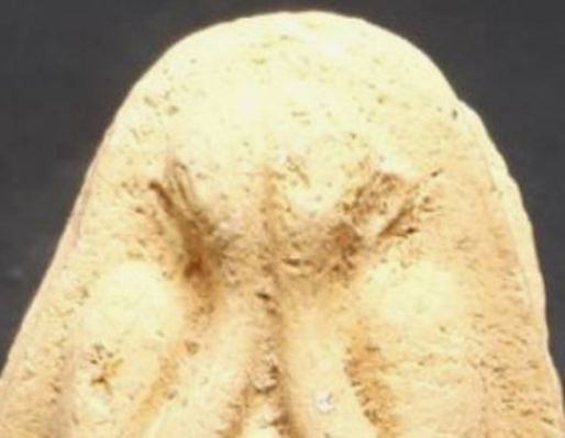 พระปิดตา ปี2516 เนื้อเหลือง วัดยายร้า จ.ระยอง หลวงปู่ทิม ปลุกเสก