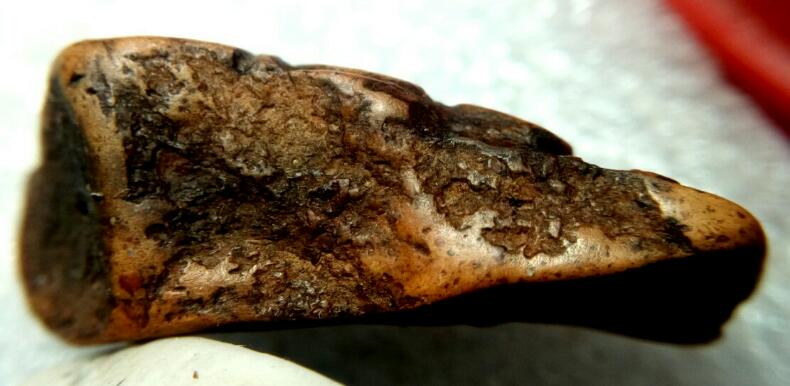 พระคงลำพูนตามสภาพครับได้มาเท่านี้ครับ