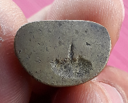 เคาะเดียว รูปหล่อหลวงพ่อเงิน วัดบางคลาน