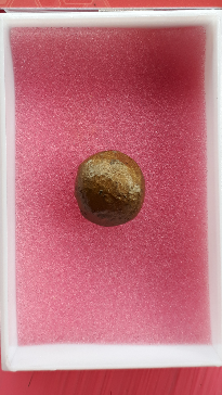 เคาะเดียว ลูกอมผงพรายกุมาร(บรอนน้ำมัน) หลวงปู่ทิม วัดละหารไร่ พร้อมบัตรรับประกันพระแท้