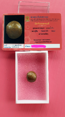 เคาะเดียว ลูกอมผงพรายกุมาร(บรอนน้ำมัน) หลวงปู่ทิม วัดละหารไร่ พร้อมบัตรรับประกันพระแท้