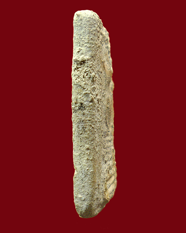 พระสมเด็จ กรุวัดคู้สลอด 