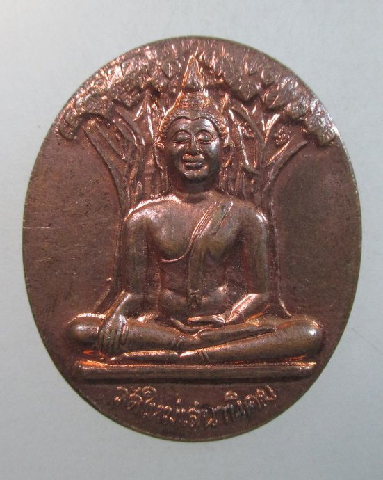 ๒๐ เหรียญพระพุทธ หลวงปู่หลอด วัดใหม่เสนานิคม