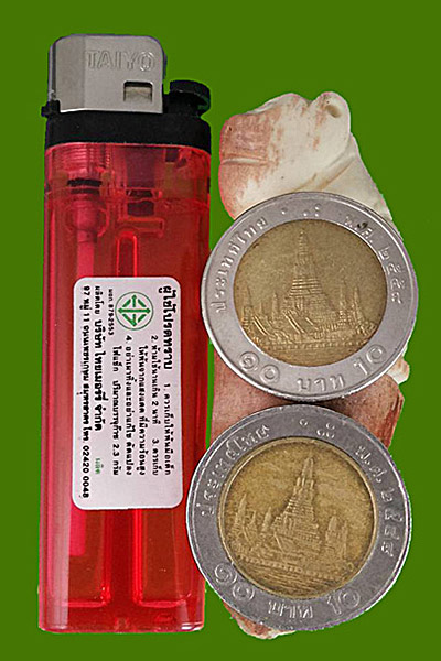 เสือนั่งเขี้ยวเขากวางมูส หลวงพ่อสิน วัดละหารใหญ่ จ.ระยอง ปี2558