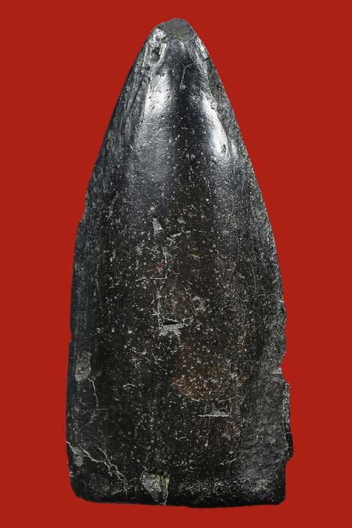 พระเลี่ยง ลำพูน