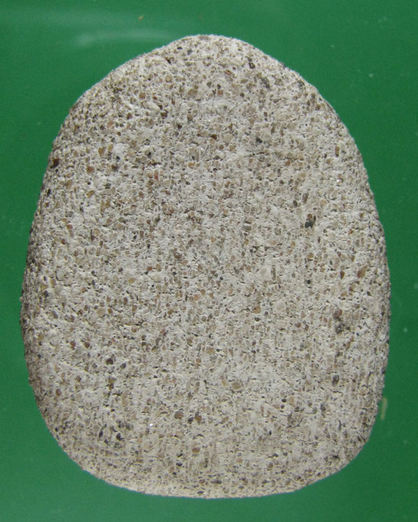 พระกรุ วัดใหม่ปากบาง 