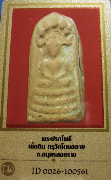 พระปรกโพธิ์ เนื้อดิน กรุวัดโตนดลาย จ.สมุทรสงคราม มาพร้อมบัตรรับรองความแท้