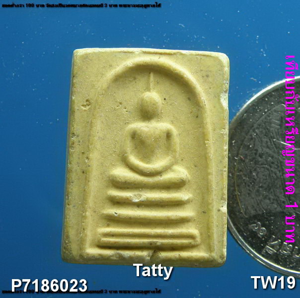 My Image 19