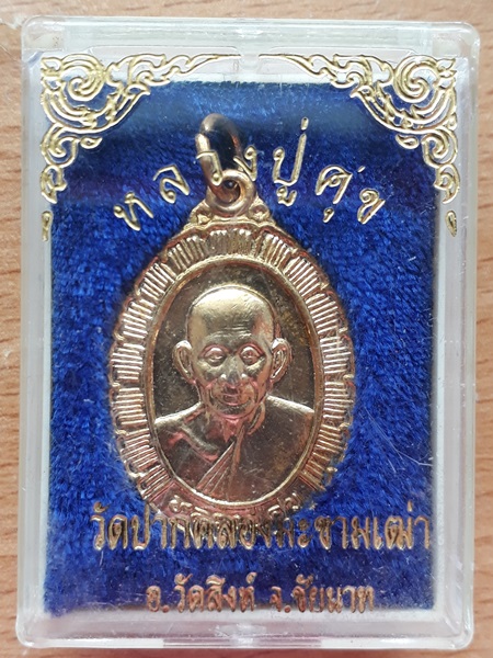 เหรียญหลวงปู่ศุข วัดปากคลองมะขามเฒ่า ชัยนาท ปี 2538