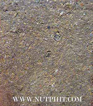 ที่สุดแห่งความหายาก พระติ้ว พระเทียม เนื้อว่าน พ.ศ.๒๕๐๐ ลป.จันทร์ วัดศรีเทพ นครพนม*14