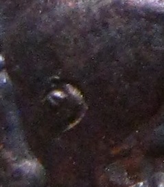 เหรียญหลวงปู่แผ้ว ปวโร วัดกำแพงแสน จ นครปฐม ปี2554 เนื้อทองแดง มีโค้ด พร้อมกล่องเดิม