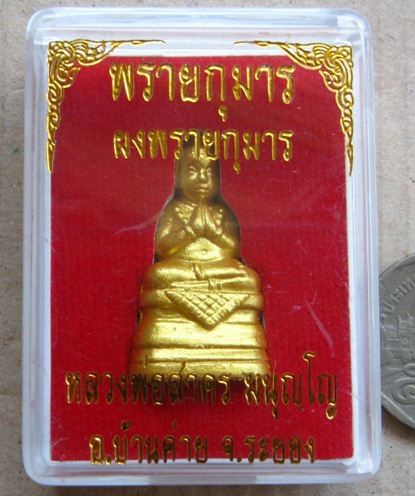 พรายกุมาร เนื้อผงพรายกุมาร หลวงพ่อสาคร จ.ระยอง ว่านดอกทองตะกรุดทองแดง หมายเลข154 พร้อมกล่องเดิม