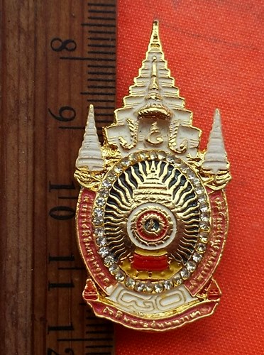 เริ่ม 10 บาท กับ เข็มกลัด   …D422