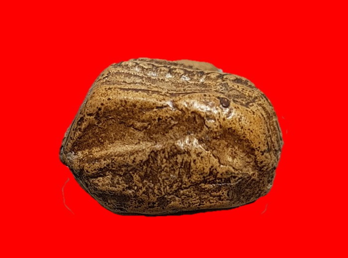 พระคงกรุเก่า ฟอร์มตรงพิมพ์ทรงเดิมจากกรุ คลาสสิค เข้มขลัง สวยคามภาพไร้อุดซ่อมครับท่าน 