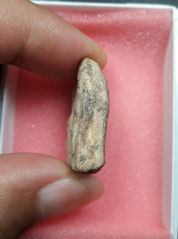 พระกรุนาดูน ตัด 4 พิมพ์นาคปรกจิ๋ว กรุเก่า ปี 2522