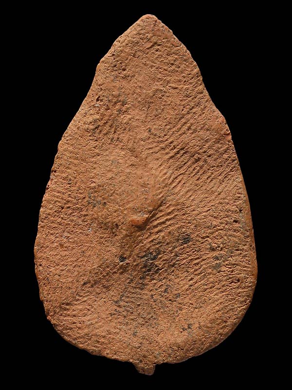 พระกลีบบัวกรุวัดลิงขบ (วัดบวรมงคล)