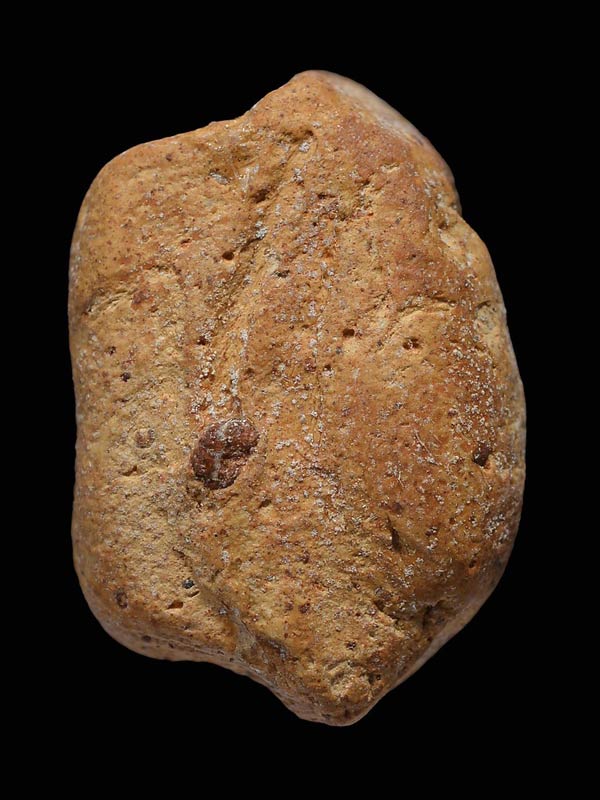 พระคงลำพูน กรุเก่า + บัตรสมาคมฯ เบาๆครับ