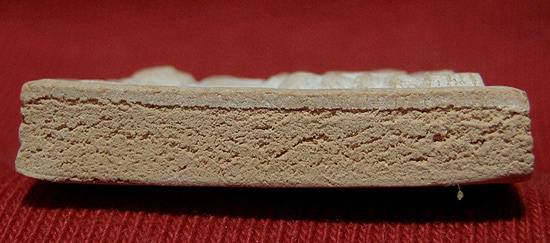 พระหางหมาก หลวงพ่อฤาษีลิงดำ วัดท่าซุง จ.อุทัยธานี ครับ