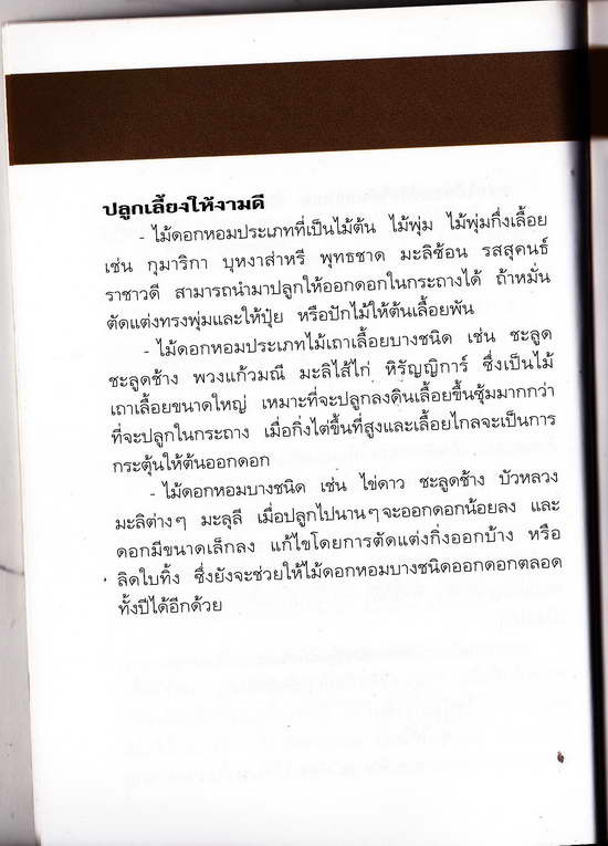 เล่มสุดท้ายครับ หนังสือมือสอง คู่มือคนรักต้นไม้ ไม้ดอกหอมสีขาว 1 ภาพสีทั้งเล่ม เป็นหนังสือเล่มเล็ก