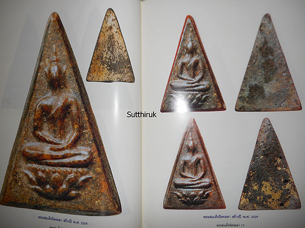 หนังสือ เรียนรู้ เจาะลึก สมเด็จจิตรลดา พระกำลังแผ่นดิน