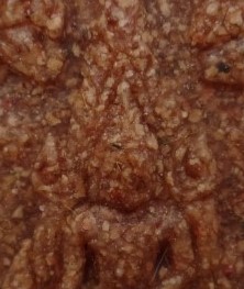 ชินราช รุ่น 639 เนื้อกระเบื้อง พิธีใหญ่เคาะเดียว120