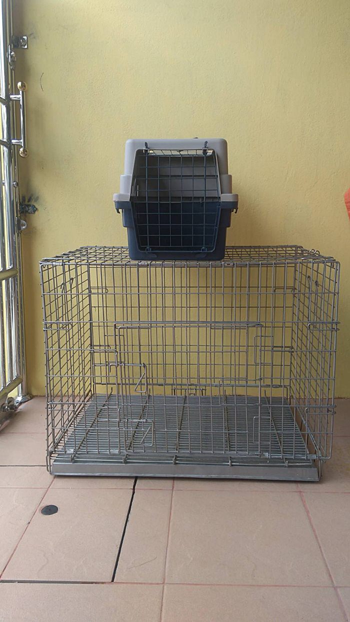 ขายกรงสุนัข สแตนเลส กรงพับน๊อคดาวน์