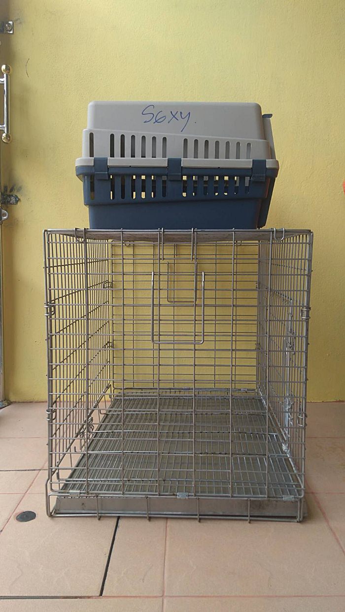 ขายกรงสุนัข สแตนเลส กรงพับน๊อคดาวน์