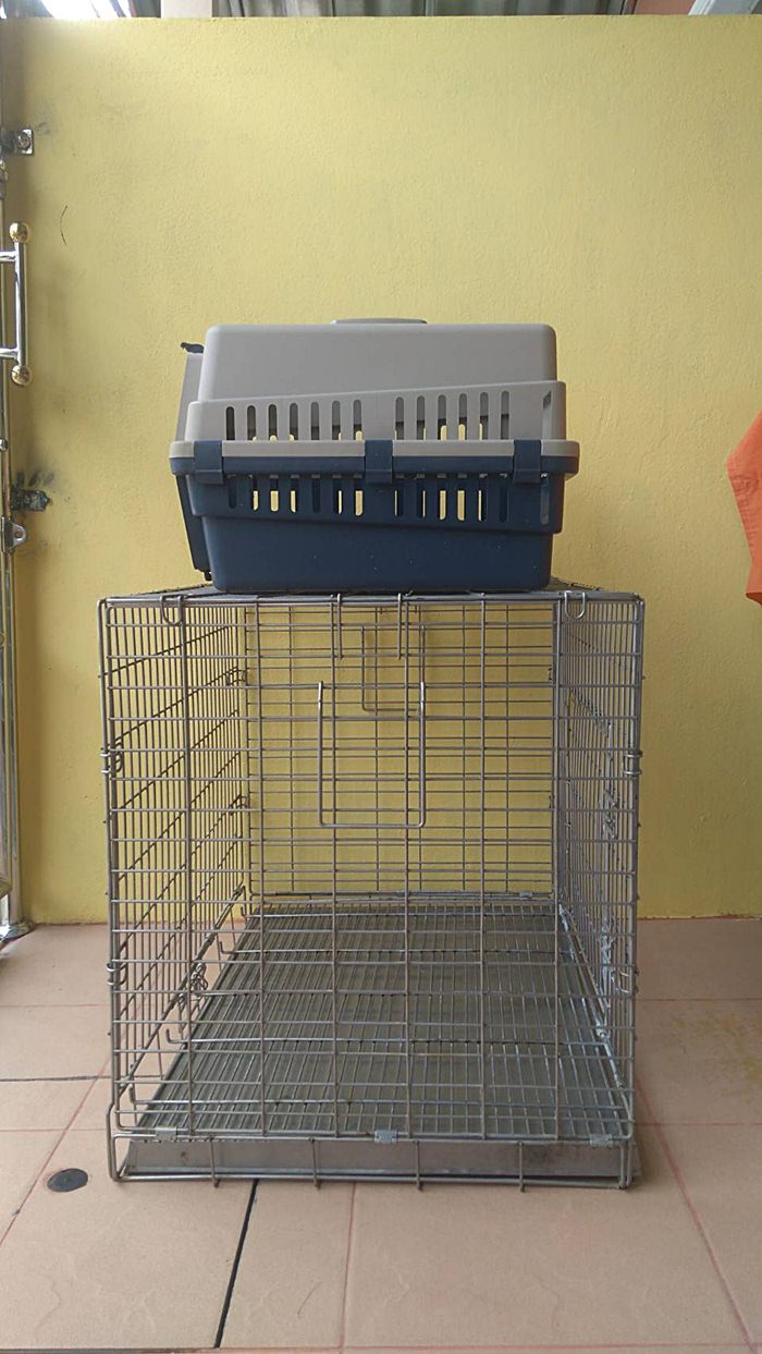 ขายกรงสุนัข สแตนเลส กรงพับน๊อคดาวน์