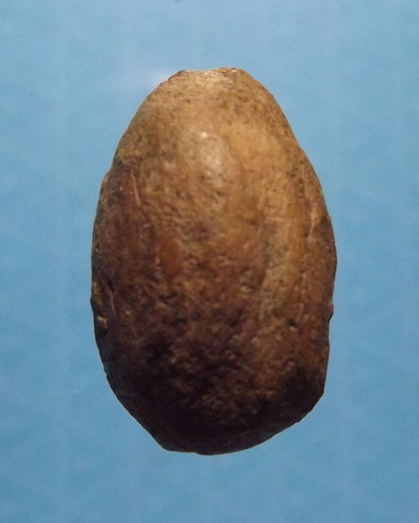 พระกรุถ้ำเสือ พิมพ์เล็ก หน้าแก่ กรุวัดหลวง อ.อู่ทอง จ.สุพรรณบุรี