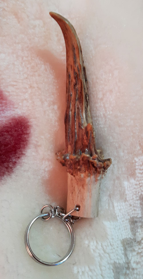 เขาเก้งเเท้1,000,000%หายากเเถมสวยมากๆยาว4นิ้วดูรอยตัดก้อจบครับรับประกันจนกว่าของจะหายครับ