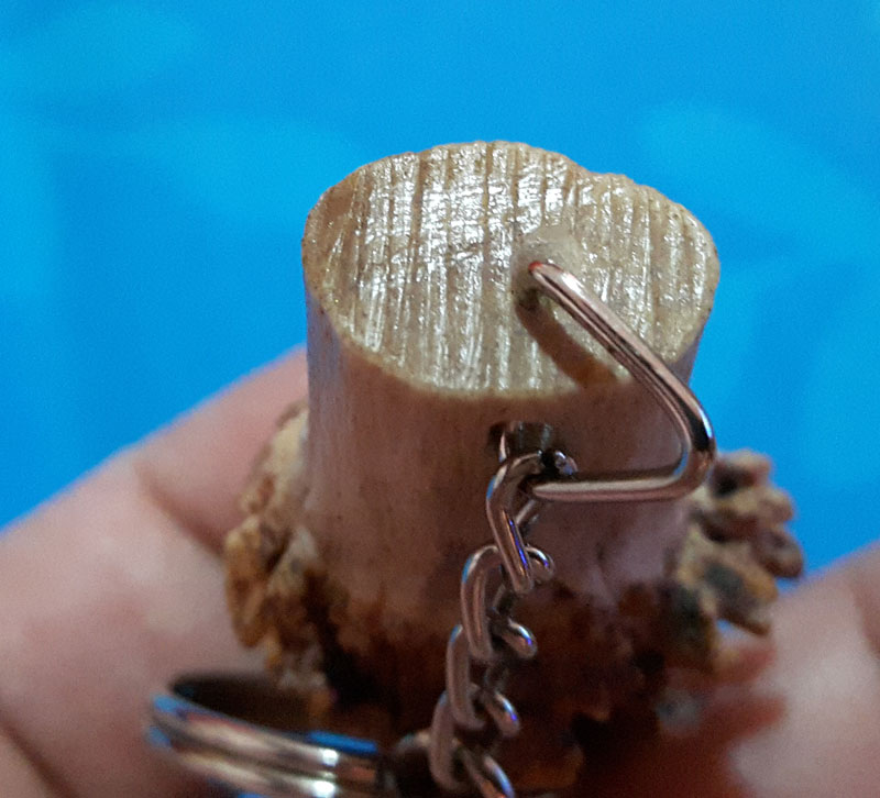 เขาเก้งเเท้1,000,000%หายากเเถมสวยมากๆยาว4นิ้วดูรอยตัดก้อจบครับรับประกันจนกว่าของจะหายครับ