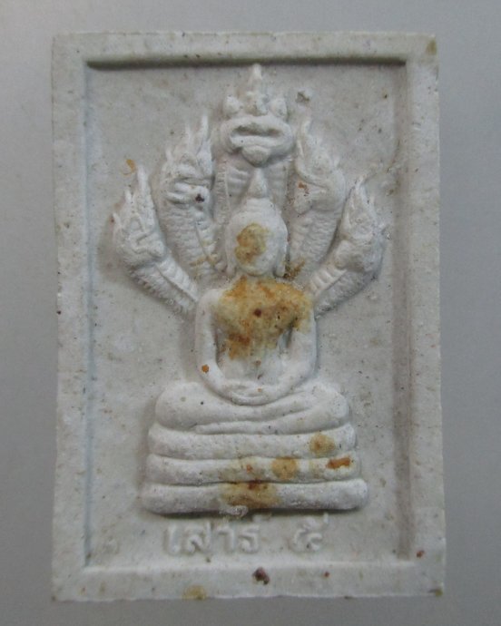 ๒๐ พระนาคปรก หลวงปู่หงษ์