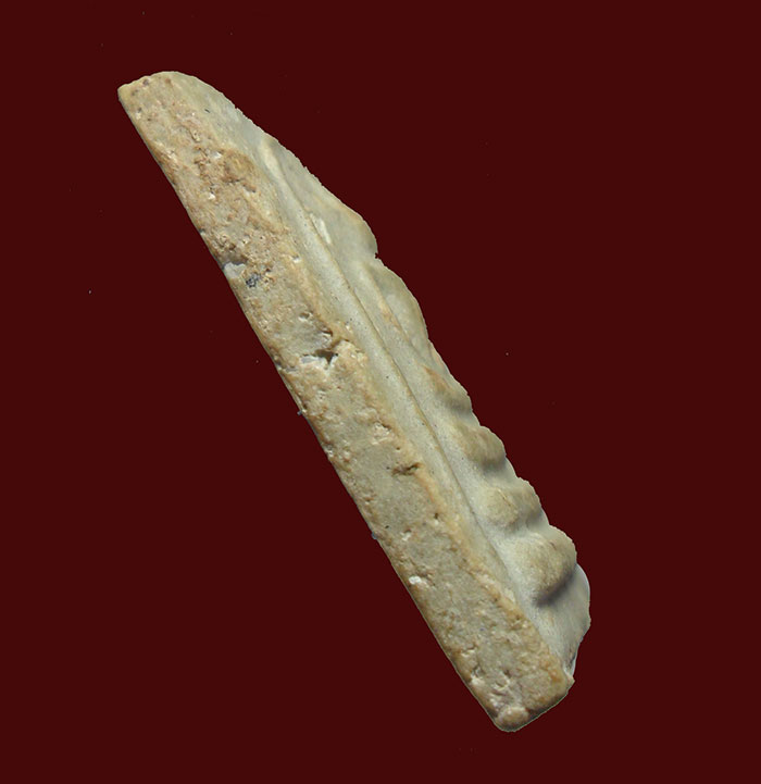 พระสมเด็จอกครุฑ หลวงพ่อลำภู วัดใหม่อมตรส บางขุนพรหม กทม