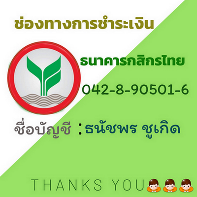 พระเนื้อผงเก่า ๆ ไม่ทราบที่