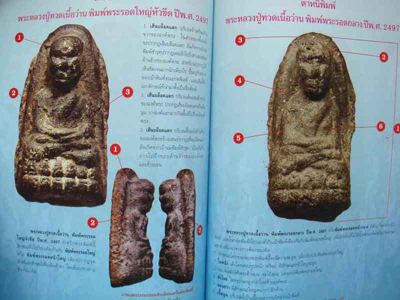 หนังสือ การศึกษาพระหลวงปู่ทวดเนื้อว่าน ปี 2497