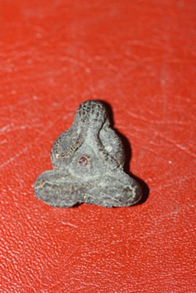 พระปิดตาฝังพลอย หลวงปู่คำพัน วัดธาตุมหาชัย 