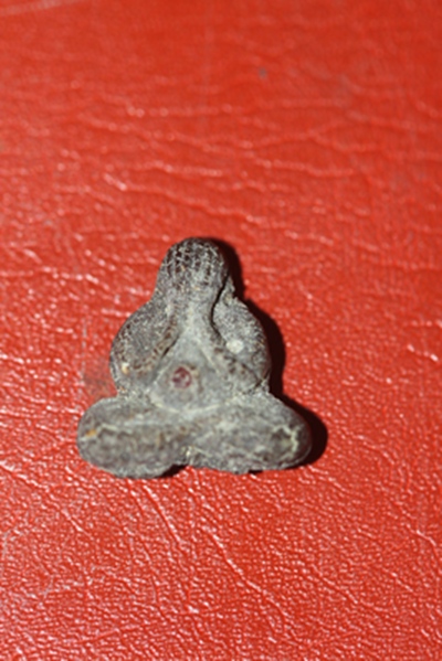 พระปิดตาฝังพลอย หลวงปู่คำพัน วัดธาตุมหาชัย จ.นครพนม