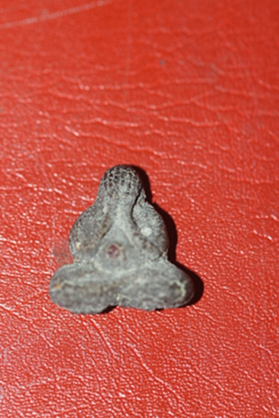 พระปิดตาฝังพลอย หลวงปู่คำพัน วัดธาตุมหาชัย จ.นครพนม 