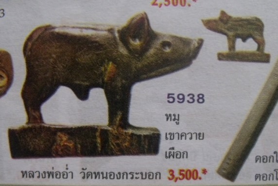 **วัดใจ**หมูมหาลาภ เขาควายเผือกแกะ อุดครั่ง มีจาร เก่าไม่ทราบที่**สวยๆ เชิญชมครับ