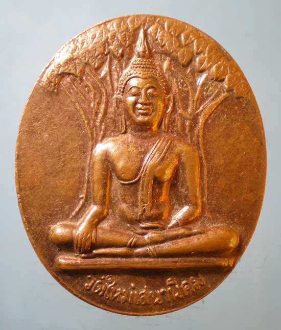 เหรียญปี46 หลวงปู่หลอด วัดเสนานิคม