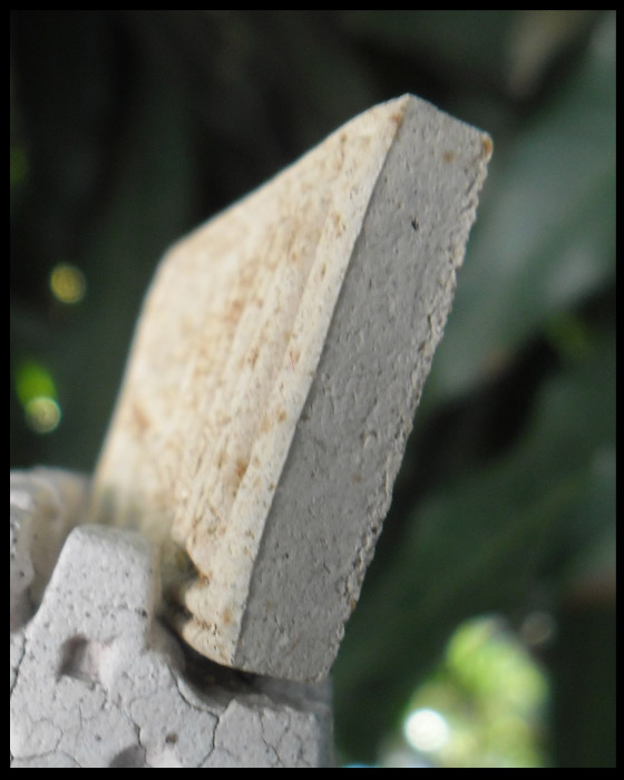 >> ถู ก แพงแดง เ ค า ะ เ ดี ย ว >> สมเด็จอรหังเกศอุ สมเด็จพระญาณสังวรฯ วัดบวรนิเวศวิหาร ปี ๒๕๑๙