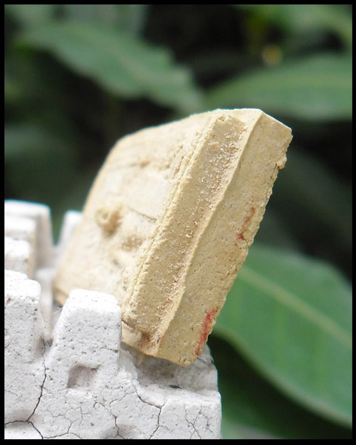 >> ถู ก แพงแดง เ ค า ะ เ ดี ย ว >> สมเด็จสังฆราจเจ้า กรมหลวงวชิรญาณวงศ์ วัดบวรฯ ปี ๒๕๑๕