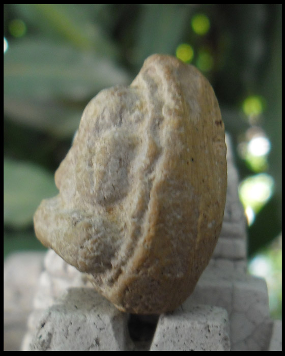 >> ถู ก แพงแดง เ ค า ะ เ ดี ย ว >> พระปิดตาทวีทรัยพ์ หลวงปู่แหวน ปี ๒๕๑๙