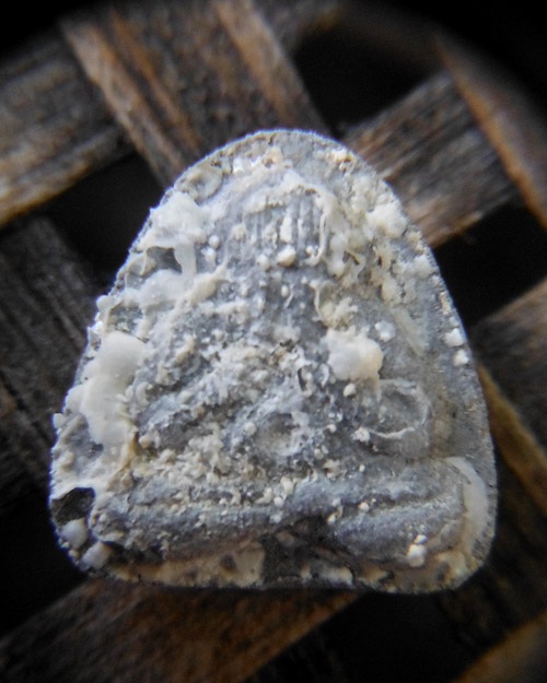 >> ถู ก แพงแดง เ ค า ะ เ ดี ย ว >> สมเด็จปิลันธ์ พิมพ์ปิดตา วัดระฆัง ปี 2538