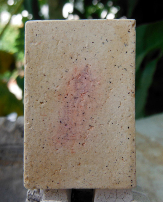 >> ถู ก แพงแดง เ ค า ะ เ ดี ย ว >> สมเด็จผสมผงเก่า 100-108-118 ปี วัดระฆังโฆสิตาราม