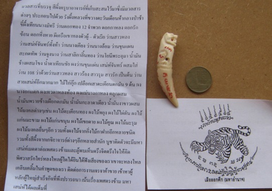 เขี้ยวเสือ แกะจากกระดูก พระอาจารย์บุญศรี ที่พักสงฆ์สว่างพรสวรรค์ อุบลราชธานี พร้อมใบแจ้งสาระ