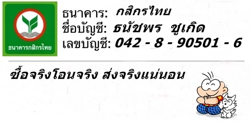หลวงปู่ทวด หล่อโบราณ เทดินไทย รุ่นแรก รวยนิรันตรายหลวงพ่อรวย วัดตะโก จ. อยุธยา ปี 2556